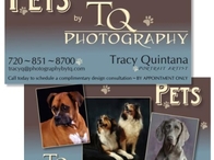 TQ Photography Pet Business Card