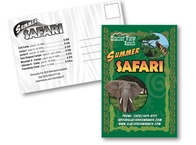 Summer Safari Postcard